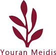 MEIDIS 美蒂石 - 透水树脂地面系统