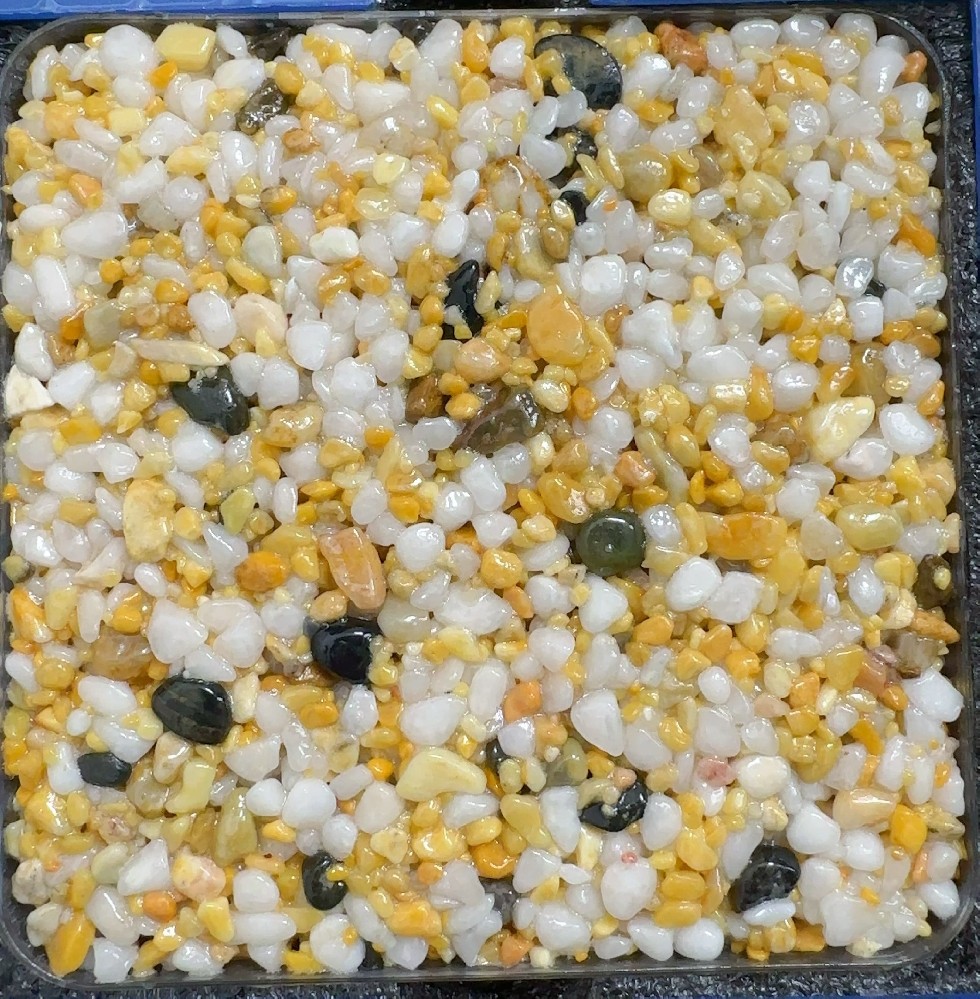 金桂凝霜 | Golden Osmanthus Frost