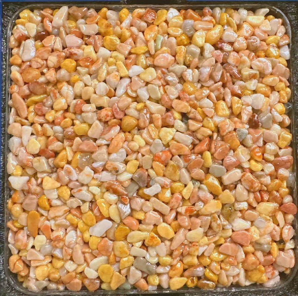 桃金凝脂 | Peach Gold Suet