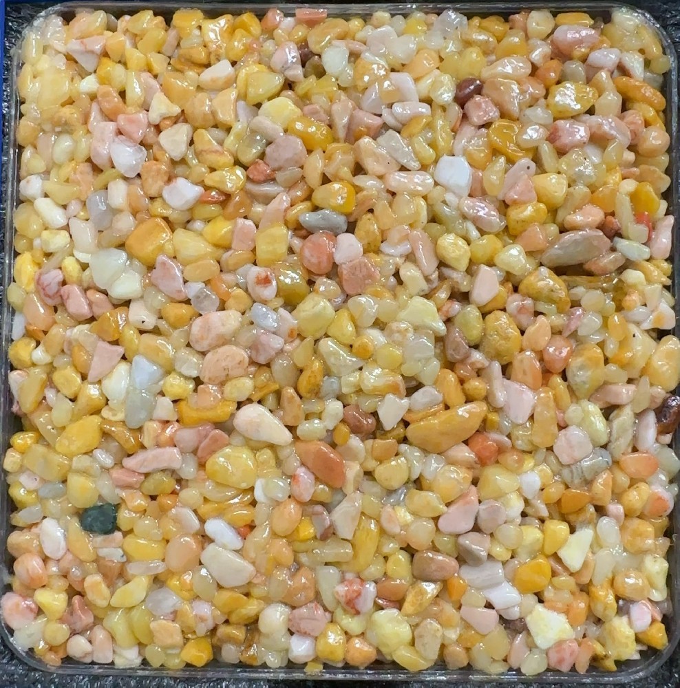 桃金凝脂 | Peach Gold Suet