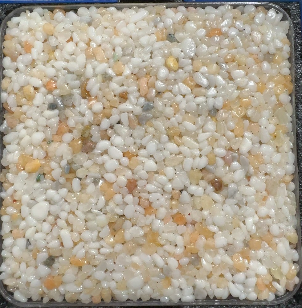 蜜杏融雪 | Apricot & Snow