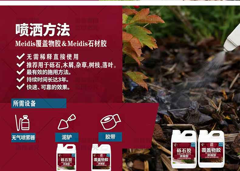 加入美蒂石大家庭
